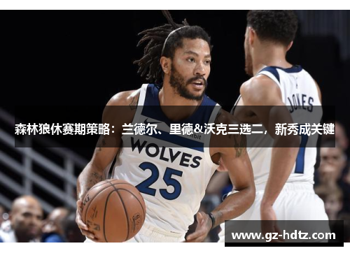 森林狼休赛期策略：兰德尔、里德&沃克三选二，新秀成关键